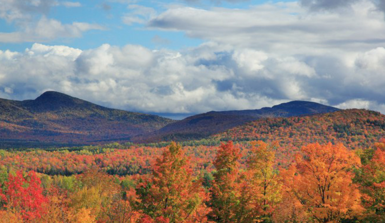 Screen Shot 2020-07-17 at 3.17.19 PM