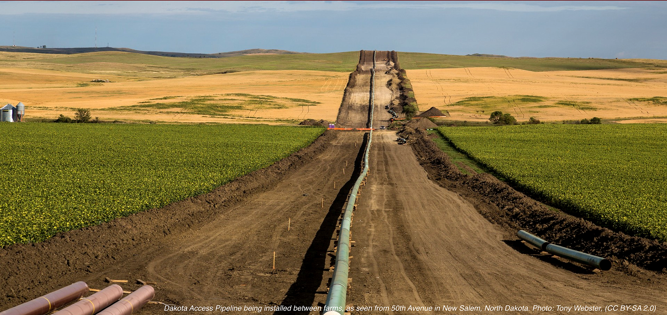 Screen Shot 2020-07-23 at 9.54.01 AM